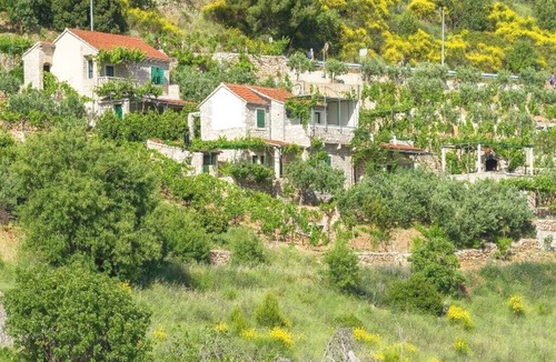 Murvica Apartment | Apartments Nada, (10374), Bol, hr