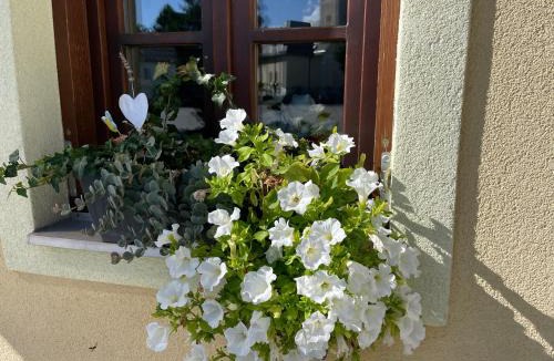 Slunj Apartment | Apartments Petra