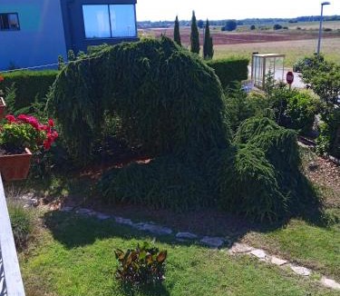 Seget Apartment | Apartments Ribić