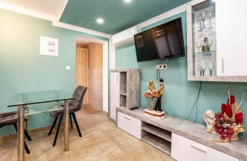 Donji Karin Apartment | Apartments Robi & Kristina - One Bedroom Apartment with Terrace A3