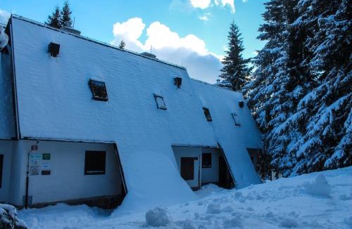 Zrece Apartment | Apartments Rogla
