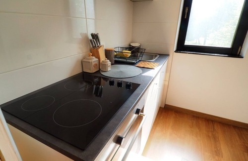 Municipality of Plaski Apartment | Apartments & Rooms Latin - Two Bedroom Apartment with Balcony and Garden View