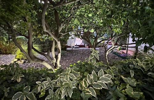 Primosten House | Apartments - Rooms VESNA