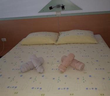 Babici House | Apartments & Rooms Villa Adamović