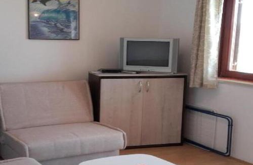 Gornji Karin Apartment | Apartments Smilje i Maslina - One Bedroom Apartment with Terrace 1