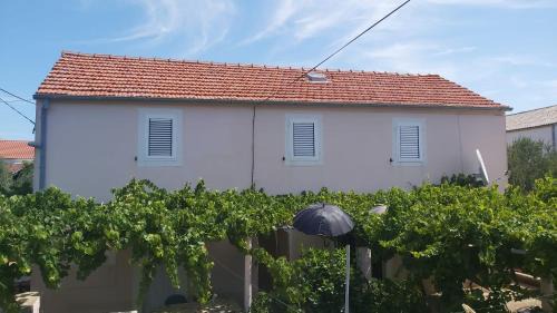 Susica Apartment | Apartments Tomas