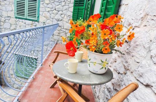 Split Apartment | Apartments Villa Rosa