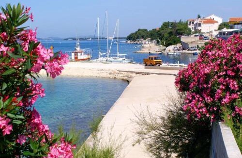 Brodarica Apartment | Apartments with a parking space Brodarica, Sibenik - 12642