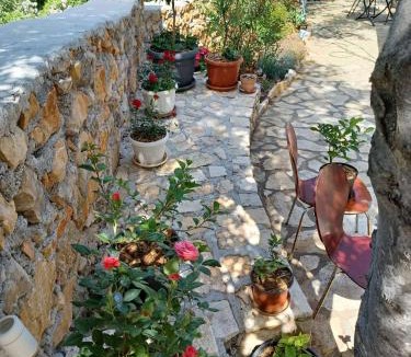 Vinjerac Apartment | Apartments with parking space Vinjerac, Zadar - 23145