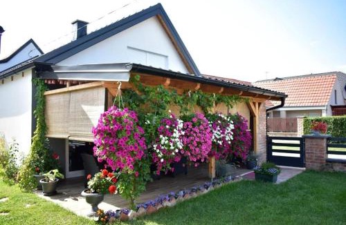 Valpovo Apartment | Apartments with parking space Valpovo, Slavonija - 24020