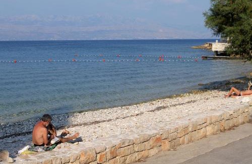 Sutivan Apartment | Apartments with parking space Sutivan, Brac - 745
