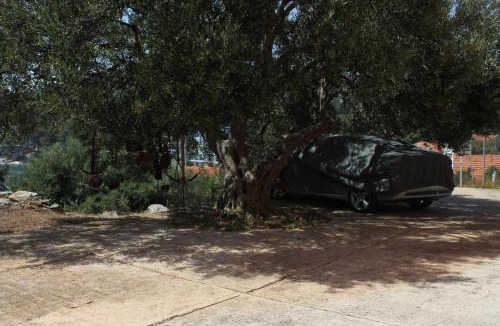 Bozava Apartment | Apartments with parking space Bozava, Dugi otok - 8124
