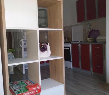 Vintijan Apartment | Apartments ZP44