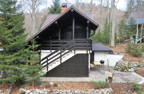 Ilirska Bistrica House | ARIA
