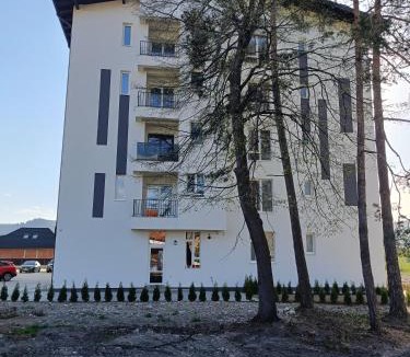 Gura Humorului Apartment | Arinis Class