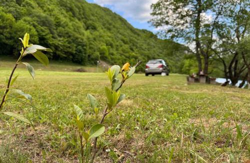 Bihac Other | Auto camp Harun&Omar
