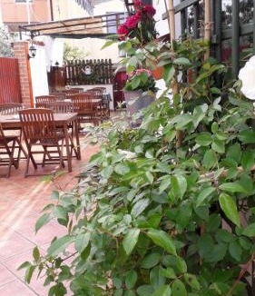 Finida Bed & Breakfast | B&B LAVANDA , Finida-Umag