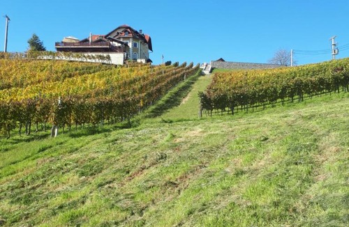 Ozalj Bed & Breakfast | B&B OPG Culig