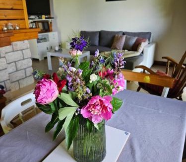 Draz House | Baranja Black Hill's
