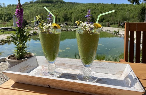 Trnovec Bartolovecki Ski Chalet | Beautiful Chalet with lake -coming soon