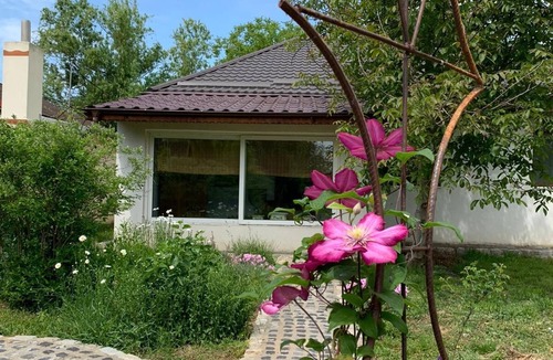 Snagov House | Beautiful fully furnished 2 Bdrm Villa with Pool, Snagov Bucharest Romania