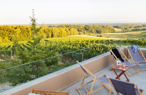 Strigova Apartment | Boutique Wine and Wellness Retreat - Wine Residence Kerman