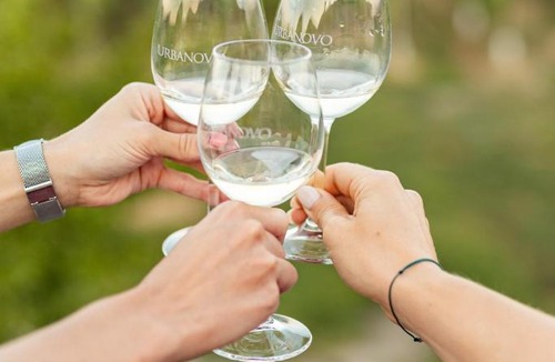 Strigova Apartment | Boutique Wine and Wellness Retreat - Wine Residence Kerman