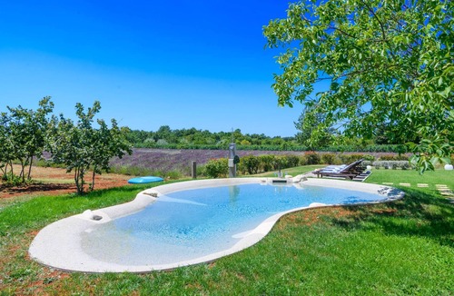 Jursici House | Brajdine Lounge overlooking an enchanting lavender field
