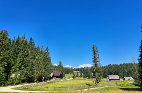 Goreljek House | BRINA Pokljuka