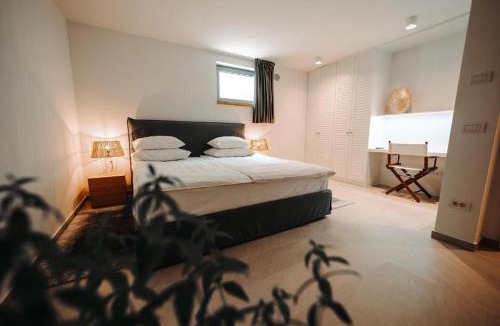 Novalja Villa | Brioni - Plant Villas, with luxury service