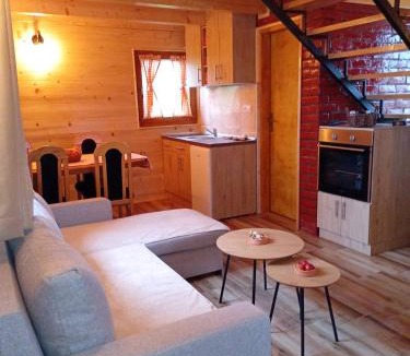 Zlatibor Ski Chalet | Brvnara Srna Zlatar