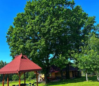 Novaci House | Căsuța din Stejari-Transalpina