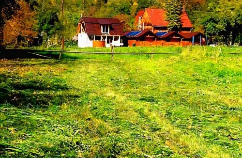 Avram Iancu Other | Căsuțele Camping AliMar