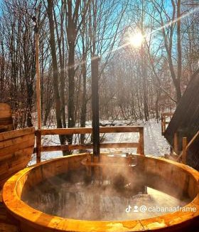 Curtea De Arges House | Cabana A-FRAME 3