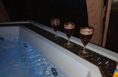 Harseni House | Cabana Barbu