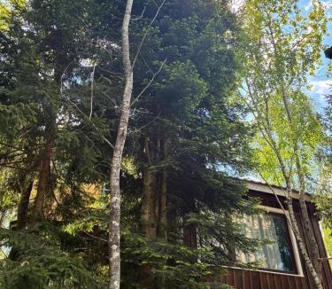 Calatele House | Cabana din padure si casutele din copac Belis