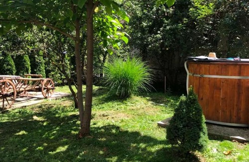Iara House | Cabana Drumetului Borzesti
