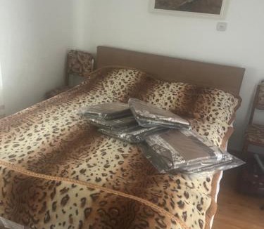 Salciua House | Cabana Ilinca