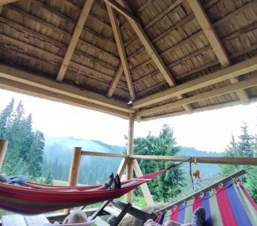 Budesti Cabin | Cabana Paulownia
