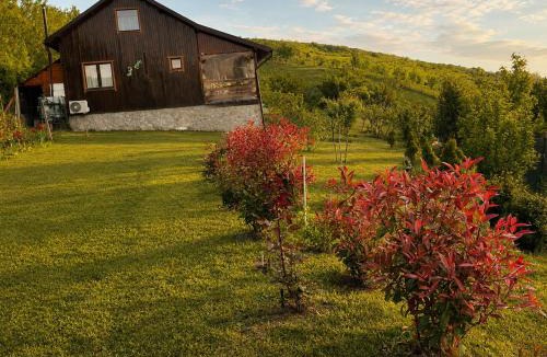 Piatra Neamt House | Cabana Tihnã