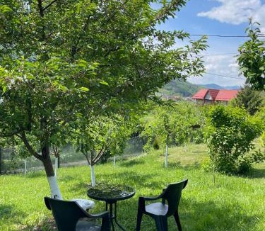 Piatra Neamt House | Cabana Tihnã