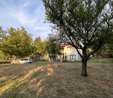 Belgrade Other | Camping Serbia - Belgrade