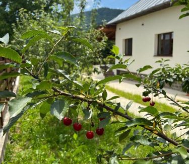 Corbi House | Casa Ana Corbșori