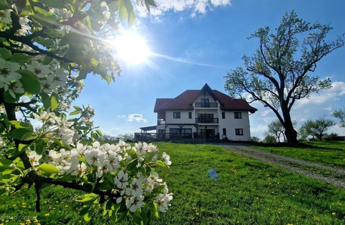 Sisesti Bed & Breakfast | Casa Comilor
