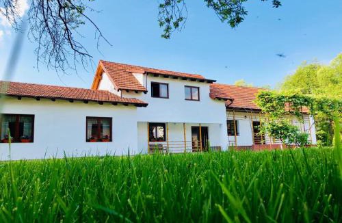 Recea House | Casa de Oaspeti Aer de Munte