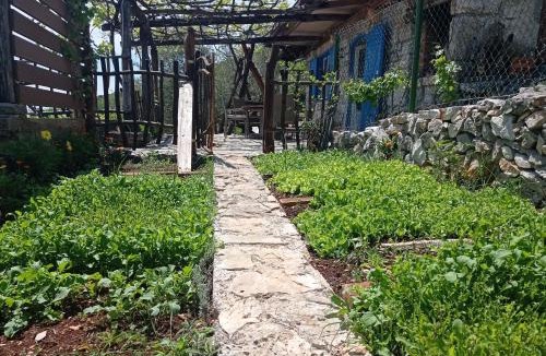 Mosenice House | Casa Delle Olive