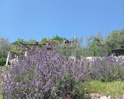 Mosenice House | Casa Delle Olive