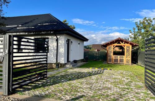 Darmanesti House | Casa Ilinca