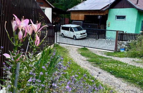 Nehoiu House | Casa Mihai