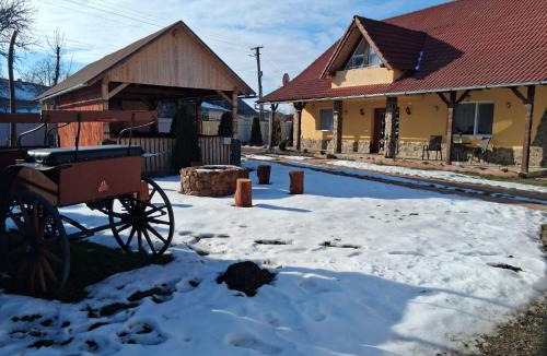 Dragus House | Casa Potcovarului
